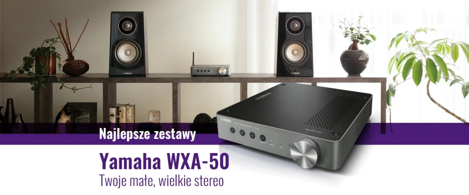 Twoje małe wielkie stereo WXA-50